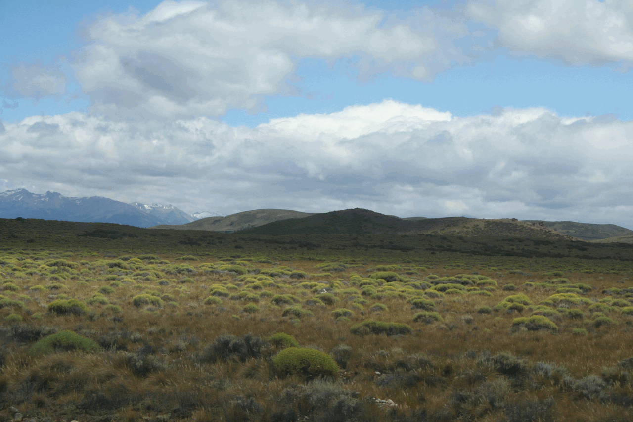 La pampa argentine
