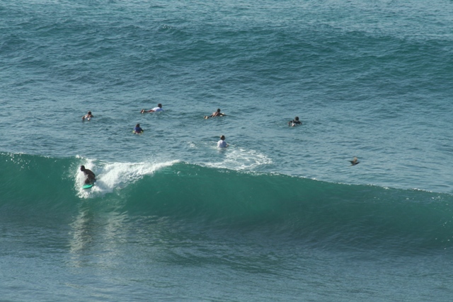 086-les vagues bien sûr!!!