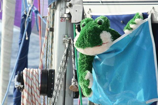 fini les bêtises, vu qu'elle a failli tomber du tangon, grenouille n'aura plus le droit de se promener seule sur le pont, elle devra rester dans le sac à drisses dorénavant!