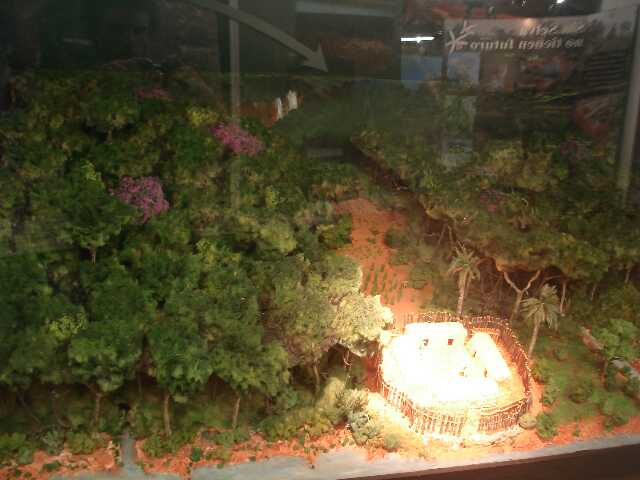 La deforestation