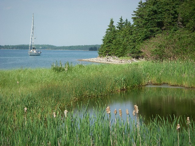 Lick entre les îles...Des lacs!