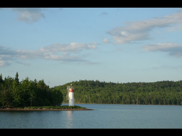 Premiers pas entre les sapins canadiens