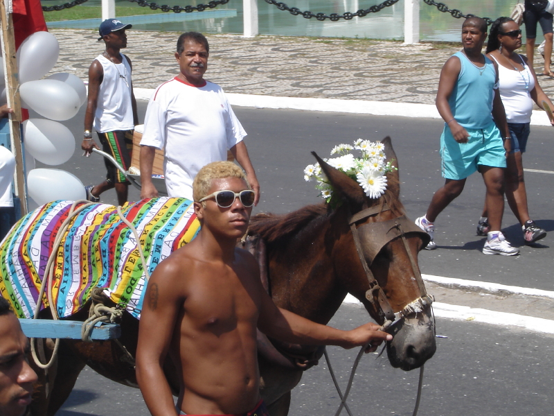 Et on Noublie pas de deguiser le cheval!
