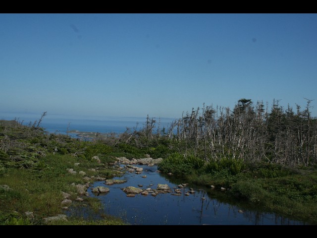 34.un des jolis lacs de Saint Pierre...