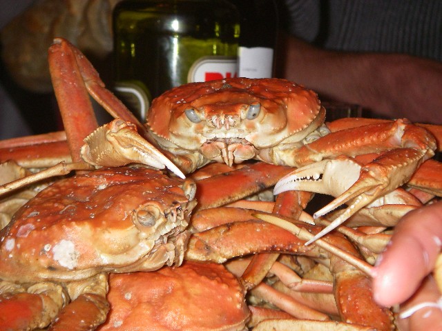 43.homard ET crabes des neiges!