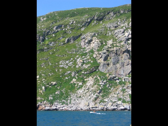 48.petite visite au passage au Grand Colombier, où nichent des centaines de milliers d\'oiseaux