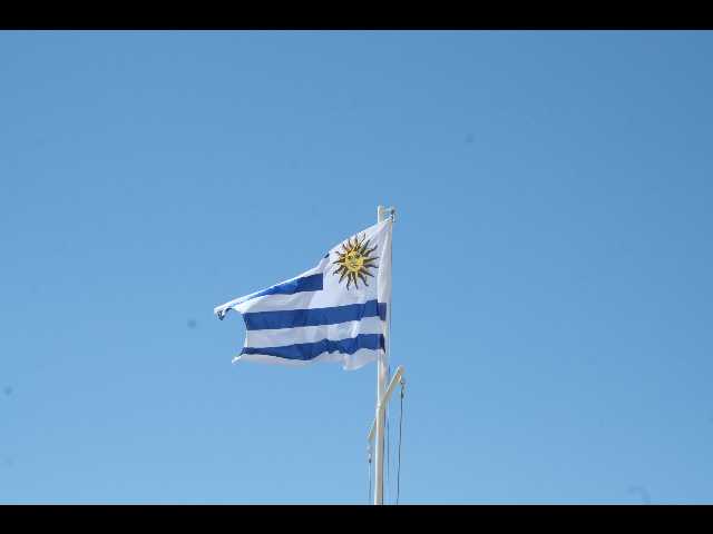 le drapeau. un grand soleil.
